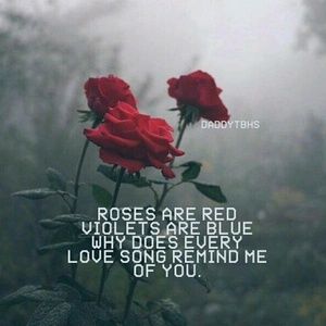 Meet your Posher, Jesse